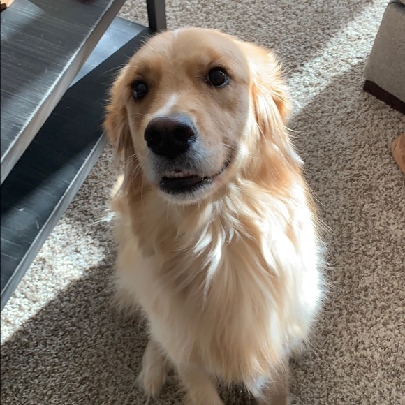 Meet your Posher, Bryan - Picture 1 of 1